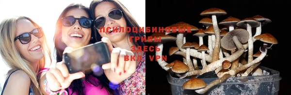 бошки Арсеньев