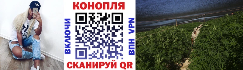 Марихуана план Можга